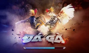 Bí Quyết Chơi Đá Gà 3D Thắng Lớn Tại Alo789 4 Đá Gà 3D