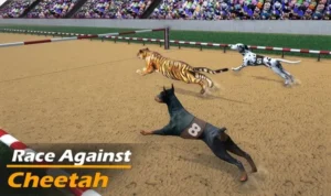 Khám Phá Cách Chơi Đua Chó Nhanh Tại Alo789 Ngay Hôm Nay 5 Đua Chó Nhanh Tại Alo789