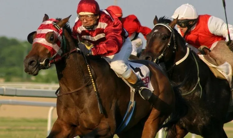 Cần tìm hiểu kỹ về bộ môn Đua Ngựa Alo789 trước khi tham gia cá cược