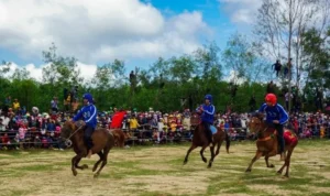 Trải Nghiệm Cá Cược Đua Ngựa Alo789 Chiến Thắng Vang Dội 10 Đua Ngựa Alo789